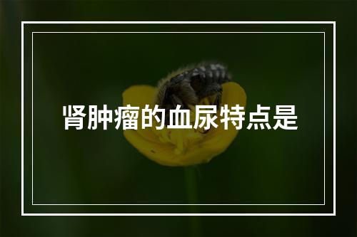 肾肿瘤的血尿特点是