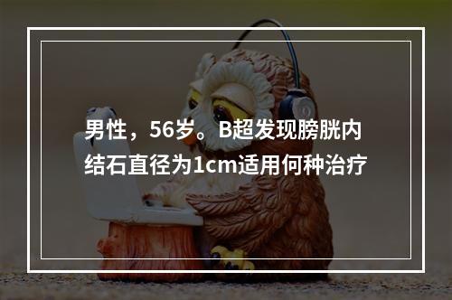 男性，56岁。B超发现膀胱内结石直径为1cm适用何种治疗