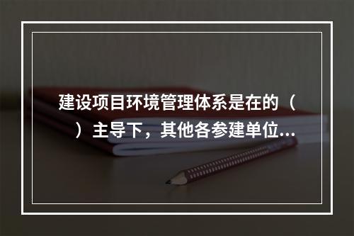 建设项目环境管理体系是在的（　　）主导下，其他各参建单位在其