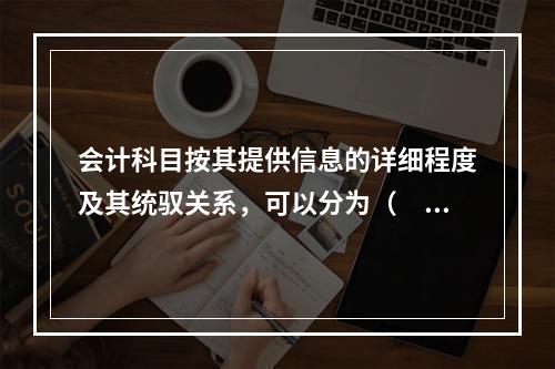 会计科目按其提供信息的详细程度及其统驭关系，可以分为（　　）