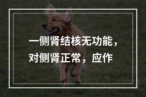 一侧肾结核无功能，对侧肾正常，应作