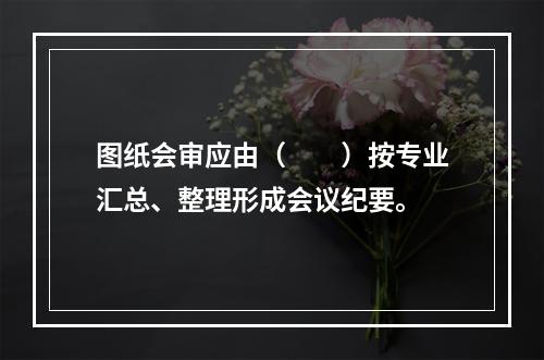 图纸会审应由（　　）按专业汇总、整理形成会议纪要。