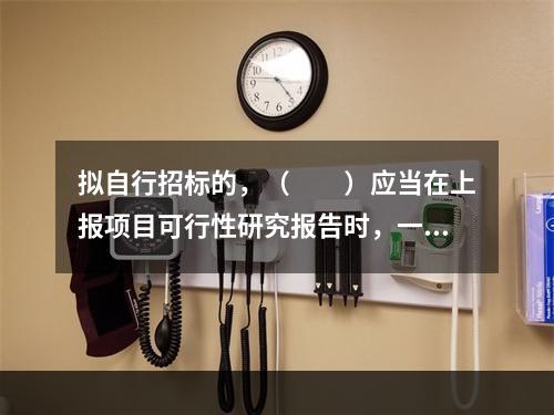 拟自行招标的，（　　）应当在上报项目可行性研究报告时，一并报