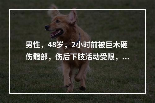 男性，48岁，2小时前被巨木砸伤髋部，伤后下肢活动受限，不能