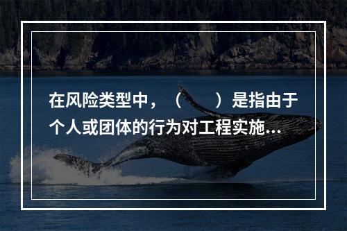 在风险类型中，（　　）是指由于个人或团体的行为对工程实施造成