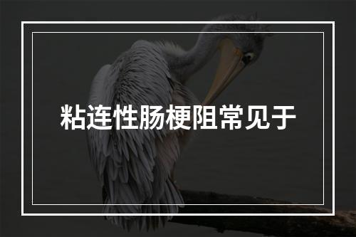 粘连性肠梗阻常见于