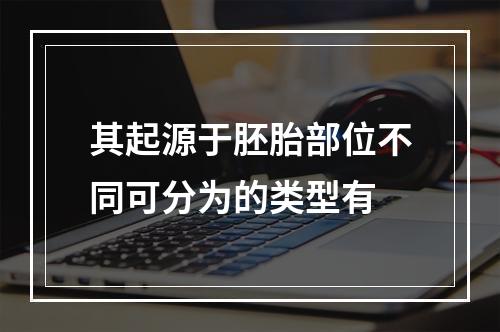 其起源于胚胎部位不同可分为的类型有