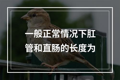 一般正常情况下肛管和直肠的长度为