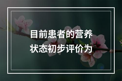 目前患者的营养状态初步评价为