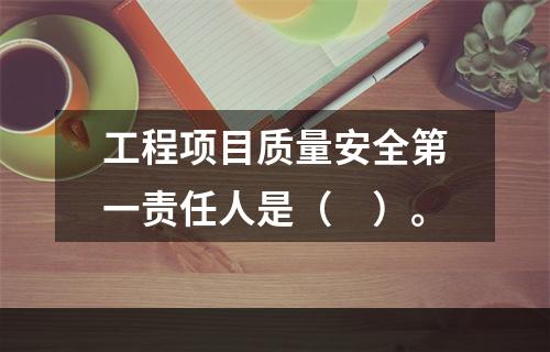 工程项目质量安全第一责任人是（　）。