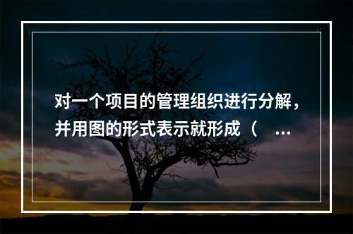 对一个项目的管理组织进行分解，并用图的形式表示就形成（　）。