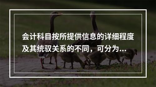 会计科目按所提供信息的详细程度及其统驭关系的不同，可分为（