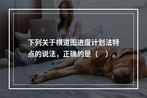 下列关于横道图进度计划法特点的说法，正确的是（　）。