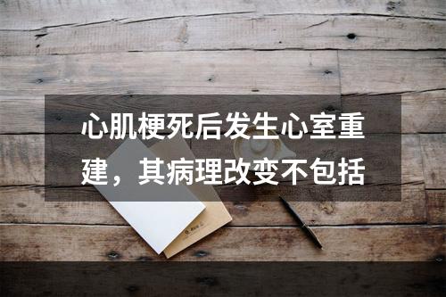 心肌梗死后发生心室重建，其病理改变不包括