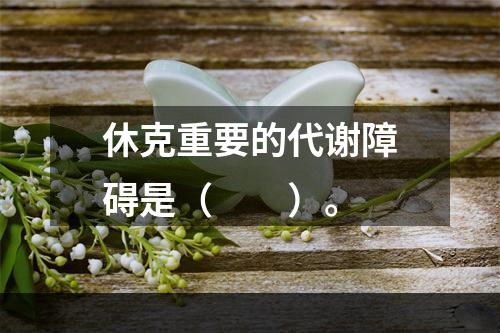 休克重要的代谢障碍是（　　）。