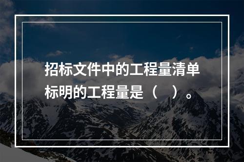 招标文件中的工程量清单标明的工程量是（　）。