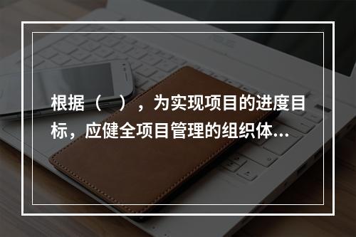 根据（　），为实现项目的进度目标，应健全项目管理的组织体系。