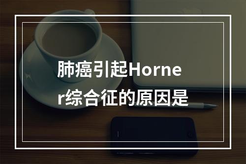 肺癌引起Horner综合征的原因是