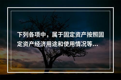 下列各项中，属于固定资产按照固定资产经济用途和使用情况等综合