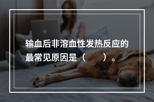 输血后非溶血性发热反应的最常见原因是（　　）。