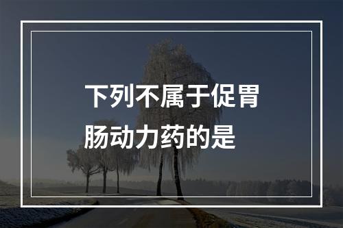 下列不属于促胃肠动力药的是