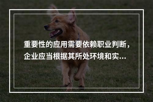 重要性的应用需要依赖职业判断，企业应当根据其所处环境和实际情