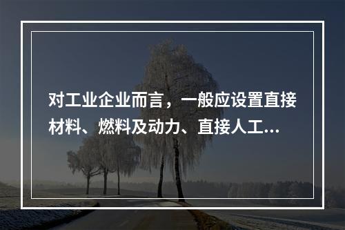 对工业企业而言，一般应设置直接材料、燃料及动力、直接人工、制