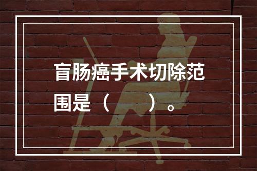 盲肠癌手术切除范围是（　　）。