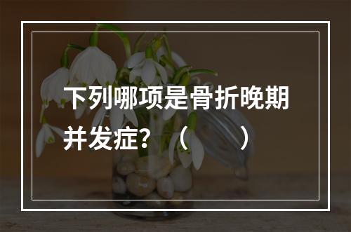 下列哪项是骨折晚期并发症？（　　）