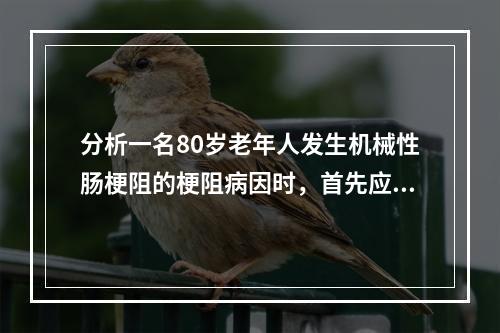 分析一名80岁老年人发生机械性肠梗阻的梗阻病因时，首先应想到