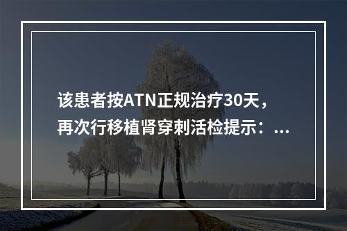 该患者按ATN正规治疗30天，再次行移植肾穿刺活检提示：肾小