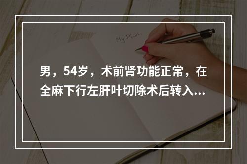 男，54岁，术前肾功能正常，在全麻下行左肝叶切除术后转入IC