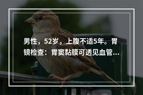 男性，52岁，上腹不适5年。胃镜检查：胃窦黏膜可透见血管网，