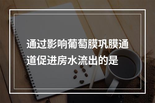 通过影响葡萄膜巩膜通道促进房水流出的是