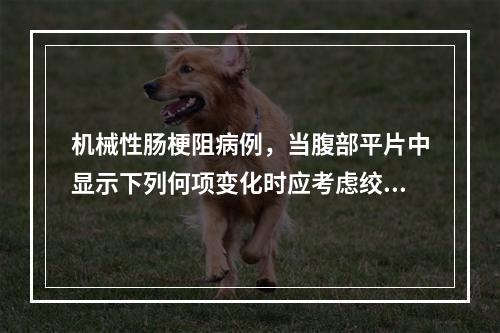 机械性肠梗阻病例，当腹部平片中显示下列何项变化时应考虑绞窄性