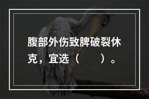 腹部外伤致脾破裂休克，宜选（　　）。