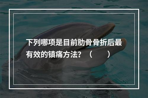 下列哪项是目前肋骨骨折后最有效的镇痛方法？（　　）