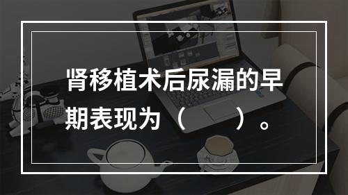 肾移植术后尿漏的早期表现为（　　）。