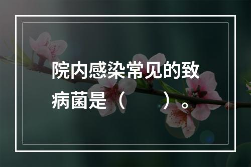 院内感染常见的致病菌是（　　）。