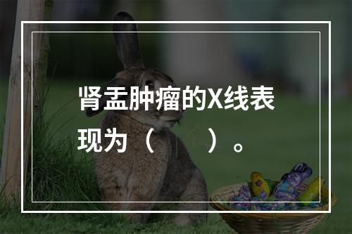 肾盂肿瘤的X线表现为（　　）。