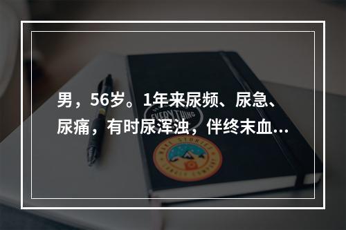 男，56岁。1年来尿频、尿急、尿痛，有时尿浑浊，伴终末血尿，