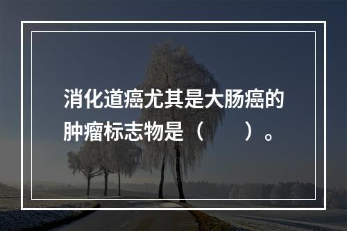 消化道癌尤其是大肠癌的肿瘤标志物是（　　）。