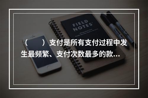 （　　）支付是所有支付过程中发生最频繁、支付次数最多的款项。