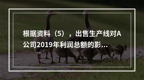 根据资料（5），出售生产线对A公司2019年利润总额的影响金