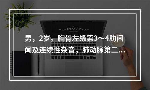 男，2岁。胸骨左缘第3～4肋间闻及连续性杂音，肺动脉第二心音