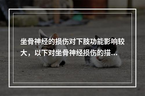 坐骨神经的损伤对下肢功能影响较大，以下对坐骨神经损伤的描述，