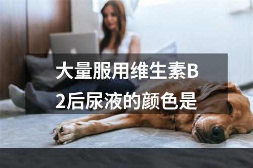 大量服用维生素B2后尿液的颜色是