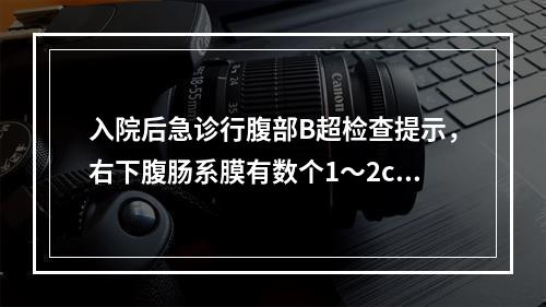 入院后急诊行腹部B超检查提示，右下腹肠系膜有数个1～2cm大