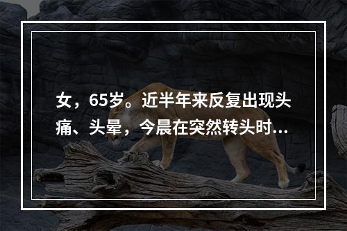 女，65岁。近半年来反复出现头痛、头晕，今晨在突然转头时感眩