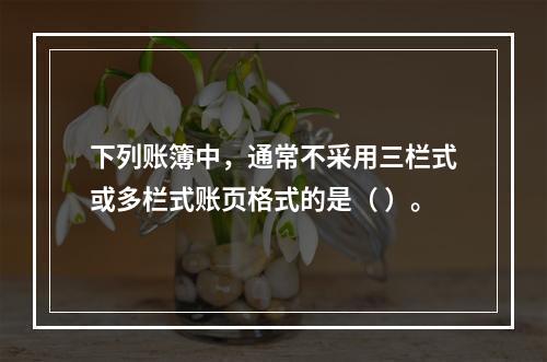 下列账簿中，通常不采用三栏式或多栏式账页格式的是（ ）。